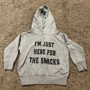 Rabbit Skins Gray Hoodie with Bold Text